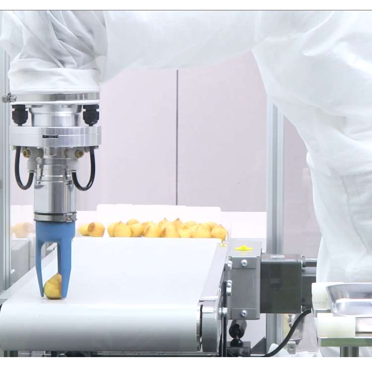 6-Axis CNC Robotic Arm with Li – обзор и цена Linear Guide Rail